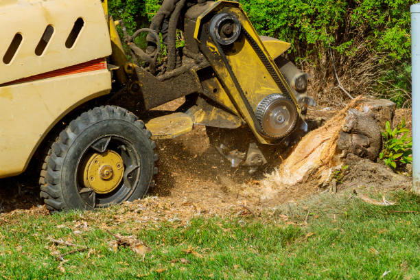 Mcdonald, OH Tree Services Company